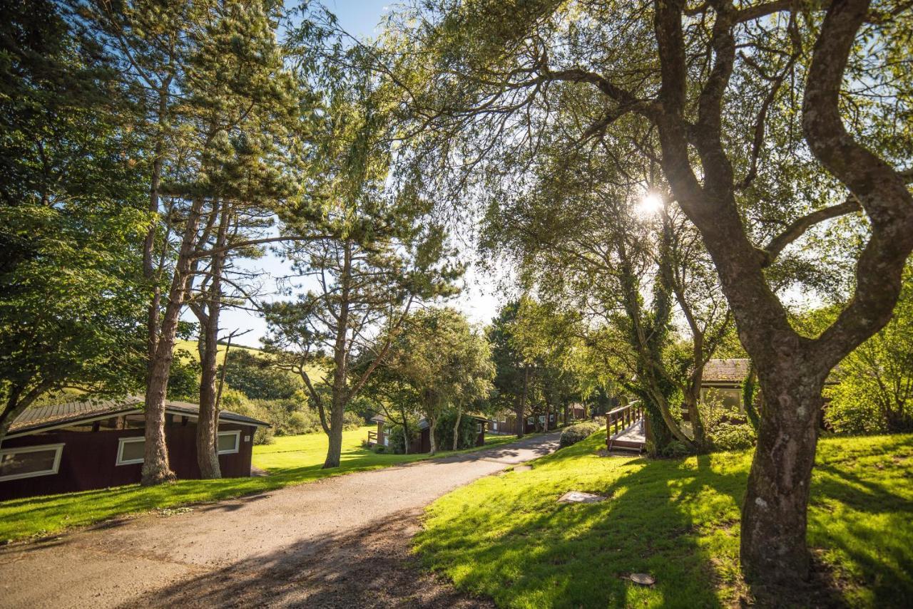 Timber Hill Self Catering Cedar Lodges Broad Haven Eksteriør billede