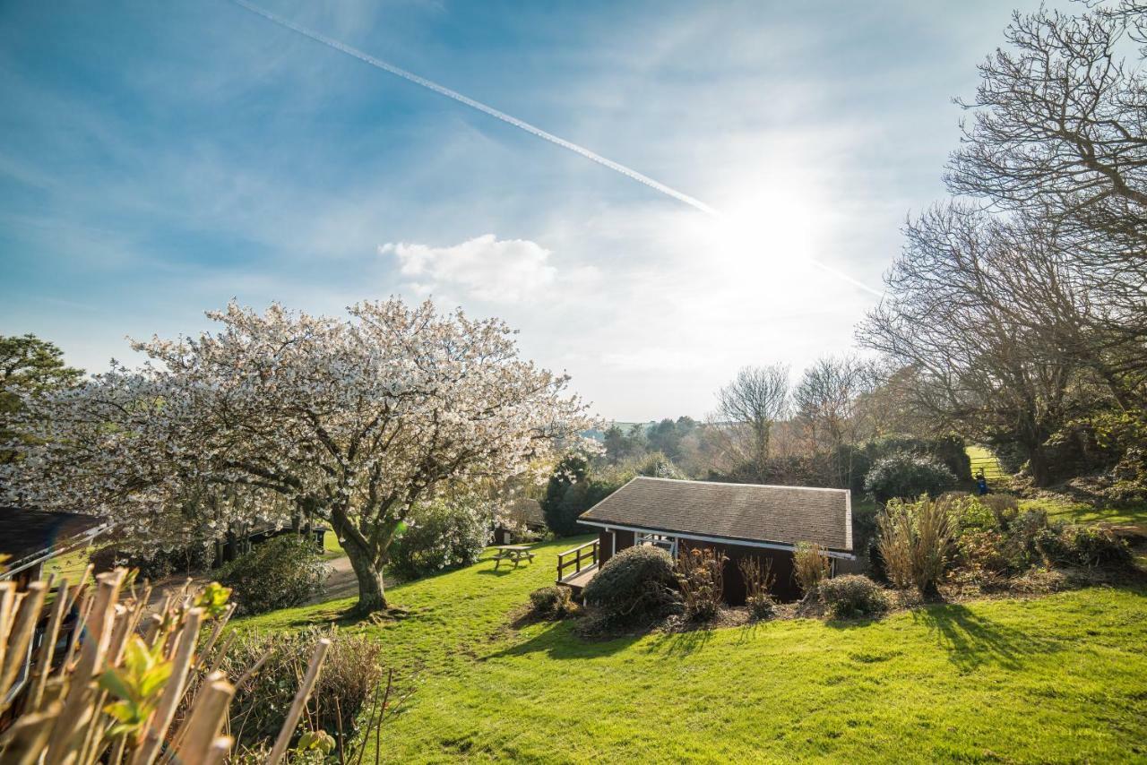 Timber Hill Self Catering Cedar Lodges Broad Haven Eksteriør billede