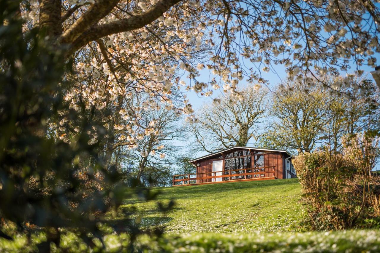 Timber Hill Self Catering Cedar Lodges Broad Haven Eksteriør billede