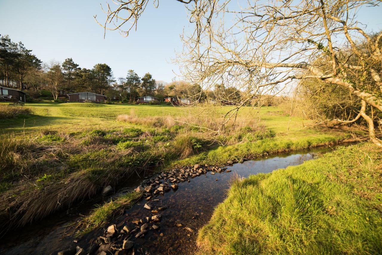 Timber Hill Self Catering Cedar Lodges Broad Haven Eksteriør billede